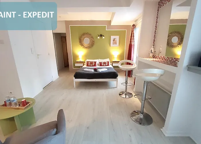 Bernadette' Cosy Flat - 3 Minutes Walk Main Door To Sanctuary Entrance- Old Town - Bernadette De Soubirous's Neighborhood - Chapel For Prayer On Site Hotel 3*