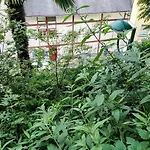 Hotel Bernadette' Cosy Flat - 3 Minutes Walk Main Door To Sanctuary Entrance- Old Town - Bernadette De Soubirous's Neighborhood - Chapel For Prayer On Site 3*