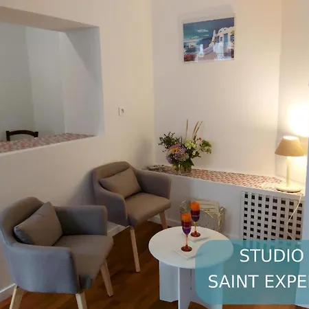 Szálloda Bernadette' Cosy Flat - 3 Minutes Walk Main Door To Sanctuary Entrance- Old Town - Bernadette De Soubirous's Neighborhood - Chapel For Prayer On Site