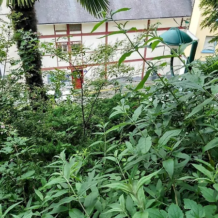 酒店 Bernadette' Cosy Flat - 3 Minutes Walk Main Door To Sanctuary Entrance- Old Town - Bernadette De Soubirous's Neighborhood - Chapel For Prayer On Site 3*