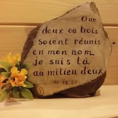 Bernadette' Cosy Flat - 3 Minutes Walk Main Door To Sanctuary Entrance- Old Town - Bernadette De Soubirous's Neighborhood - Chapel For Prayer On Site 3* Lourdes