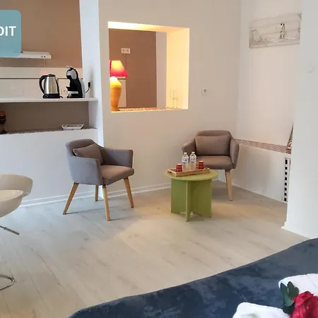 Bernadette' Cosy Flat - 3 Minutes Walk Main Door To Sanctuary Entrance- Old Town - Bernadette De Soubirous's Neighborhood - Chapel For Prayer On Site 卢德