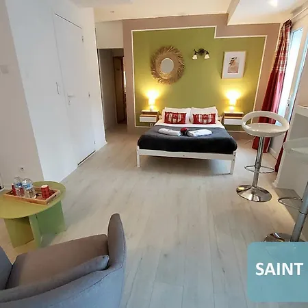 Bernadette' Cosy Flat - 3 Minutes Walk Main Door To Sanctuary Entrance- Old Town - Bernadette De Soubirous's Neighborhood - Chapel For Prayer On Site Hotel