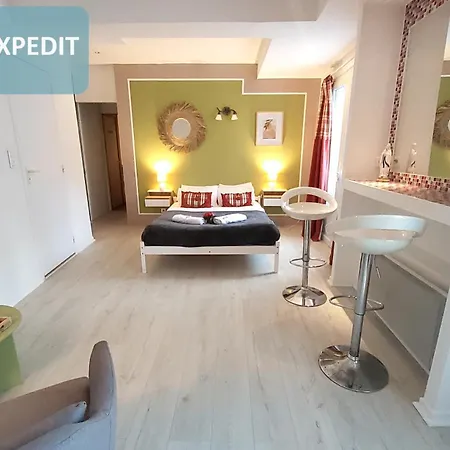 Bernadette' Cosy Flat - 3 Minutes Walk Main Door To Sanctuary Entrance- Old Town - Bernadette De Soubirous's Neighborhood - Chapel For Prayer On Site 酒店 3*