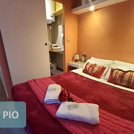 Bernadette' Cosy Flat - 3 Minutes Walk Main Door To Sanctuary Entrance- Old Town - Bernadette De Soubirous's Neighborhood - Chapel For Prayer On Site Lourdes