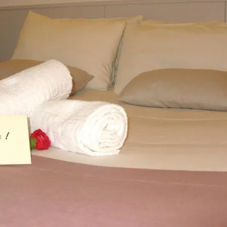 Bernadette' Cosy Flat - 3 Minutes Walk Main Door To Sanctuary Entrance- Old Town - Bernadette De Soubirous's Neighborhood - Chapel For Prayer On Site 酒店 卢德