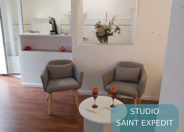 Bernadette' Cosy Flat - 3 Minutes Walk Main Door To Sanctuary Entrance- Old Town - Bernadette De Soubirous's Neighborhood - Chapel For Prayer On Site 3* 卢德