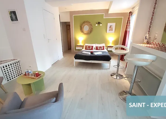 Bernadette' Cosy Flat - 3 Minutes Walk Main Door To Sanctuary Entrance- Old Town - Bernadette De Soubirous's Neighborhood - Chapel For Prayer On Site Hotel Lourdes