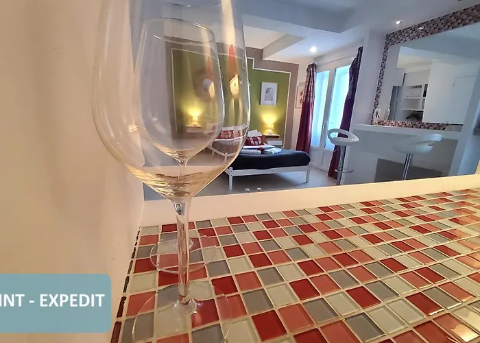 Bernadette' Cosy Flat - 3 Minutes Walk Main Door To Sanctuary Entrance- Old Town - Bernadette De Soubirous's Neighborhood - Chapel For Prayer On Site 卢德