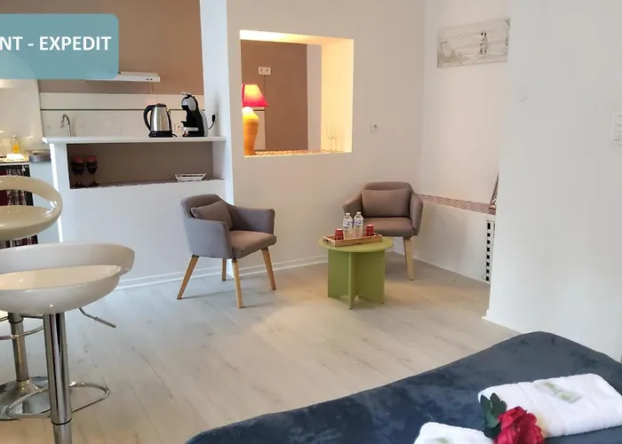 Bernadette' Cosy Flat - 3 Minutes Walk Main Door To Sanctuary Entrance- Old Town - Bernadette De Soubirous's Neighborhood - Chapel For Prayer On Site 卢德