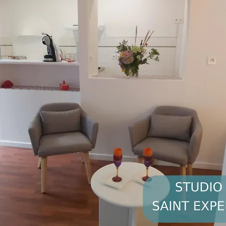Bernadette' Cosy Flat - 3 Minutes Walk Main Door To Sanctuary Entrance- Old Town - Bernadette De Soubirous's Neighborhood - Chapel For Prayer On Site 3* ルルド