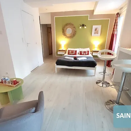 Bernadette' Cosy Flat - 3 Minutes Walk Main Door To Sanctuary Entrance- Old Town - Bernadette De Soubirous's Neighborhood - Chapel For Prayer On Site Hotel Lourdes