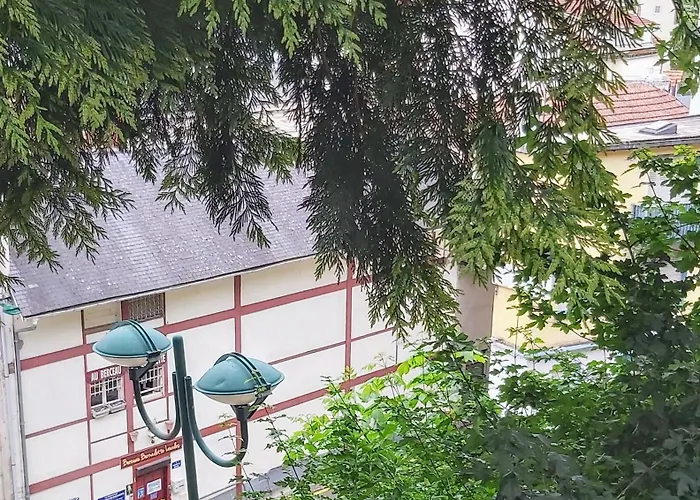 Bernadette' Cosy Flat - 3 Minutes Walk Main Door To Sanctuary Entrance- Old Town - Bernadette De Soubirous's Neighborhood - Chapel For Prayer On Site