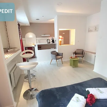 Bernadette' Cosy Flat - 3 Minutes Walk Main Door To Sanctuary Entrance- Old Town - Bernadette De Soubirous's Neighborhood - Chapel For Prayer On Site Szálloda Lourdes