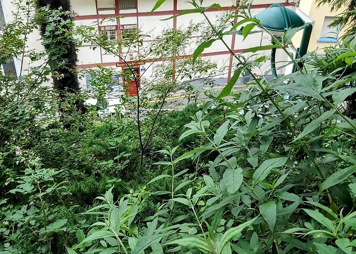 Szálloda Bernadette' Cosy Flat - 3 Minutes Walk Main Door To Sanctuary Entrance- Old Town - Bernadette De Soubirous's Neighborhood - Chapel For Prayer On Site 3*