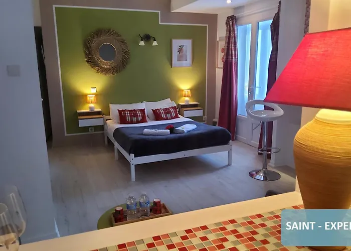 Bernadette' Cosy Flat - 3 Minutes Walk Main Door To Sanctuary Entrance- Old Town - Bernadette De Soubirous's Neighborhood - Chapel For Prayer On Site Szálloda