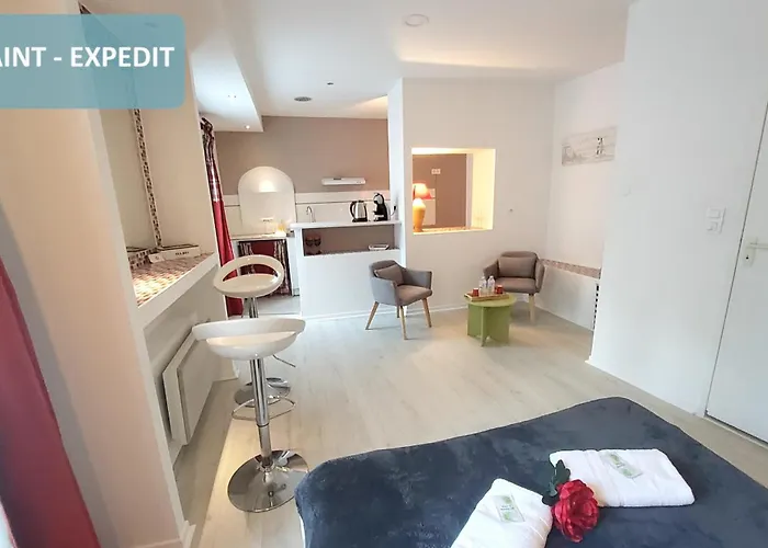 Bernadette' Cosy Flat - 3 Minutes Walk Main Door To Sanctuary Entrance- Old Town - Bernadette De Soubirous's Neighborhood - Chapel For Prayer On Site Szálloda Lourdes