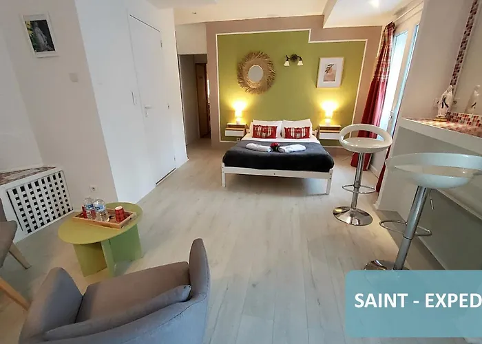 Bernadette' Cosy Flat - 3 Minutes Walk Main Door To Sanctuary Entrance- Old Town - Bernadette De Soubirous's Neighborhood - Chapel For Prayer On Site Szálloda