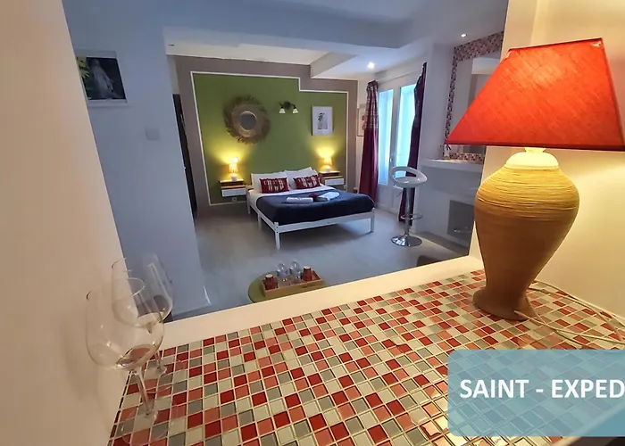 Hotel Bernadette' Cosy Flat - 3 Minutes Walk Main Door To Sanctuary Entrance- Old Town - Bernadette De Soubirous's Neighborhood - Chapel For Prayer On Site